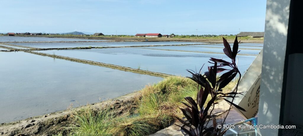 khleang ambel coffee in kampot cambodia