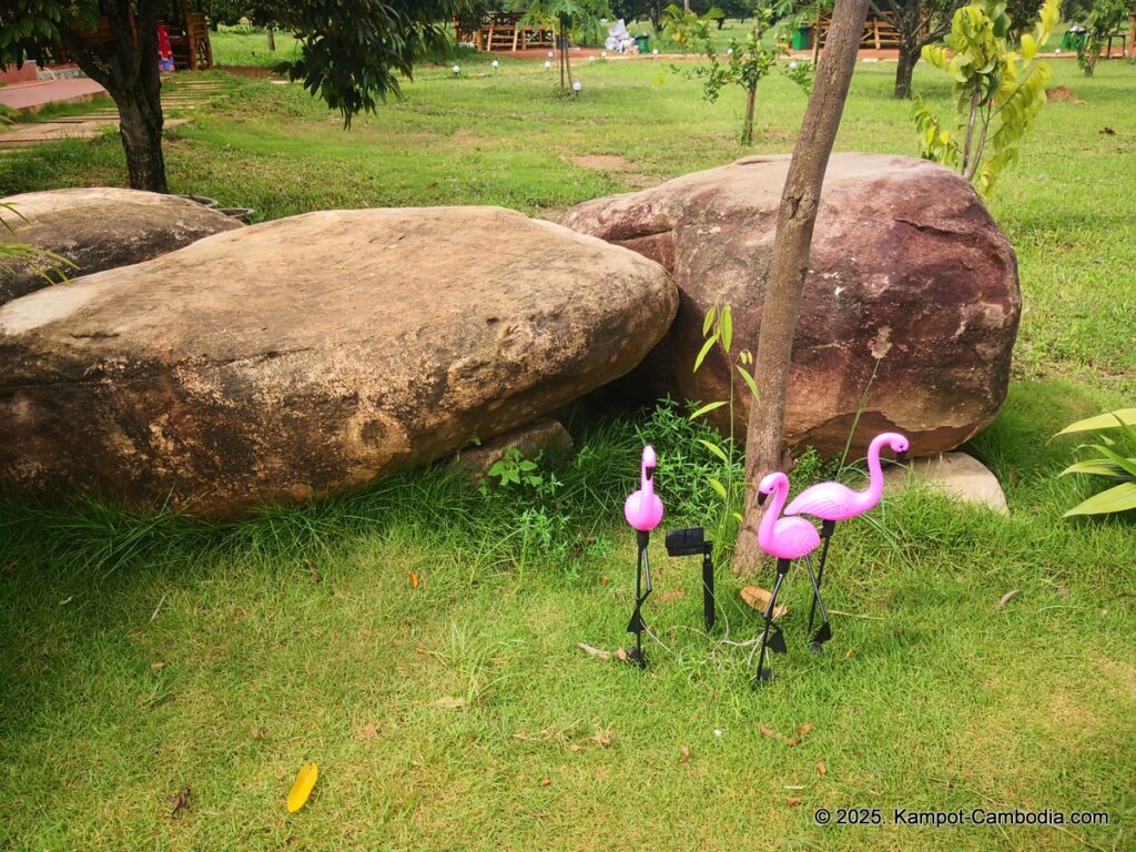 durian flower villa in kampot cambodia