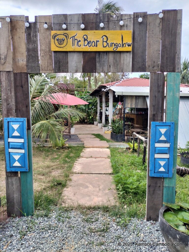 the bear bungalow in kampot cambodia