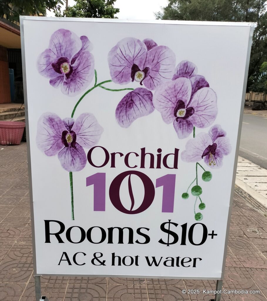 orchid 101 guesthouse in kampot cambodia