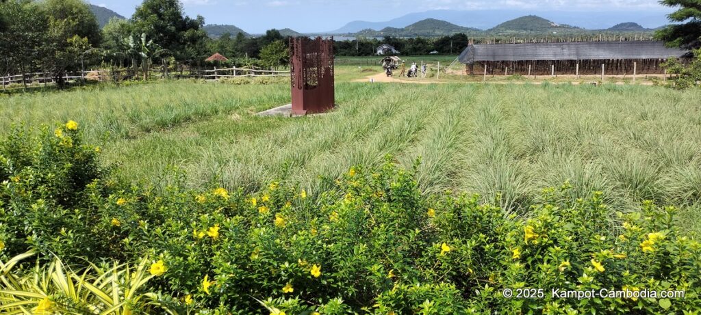 La Plantation Kampot Pepper farm in kampot cambodia