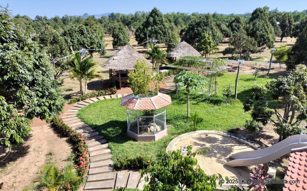 durian flower villa in kampot cambodia