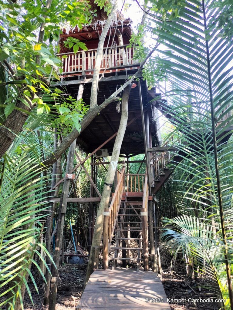 sloek chak bungalows in kampot cambodia