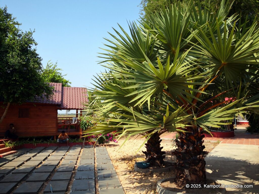 Kampheak Roath Treuy Koh Bungalows in kampot cambodia fish island