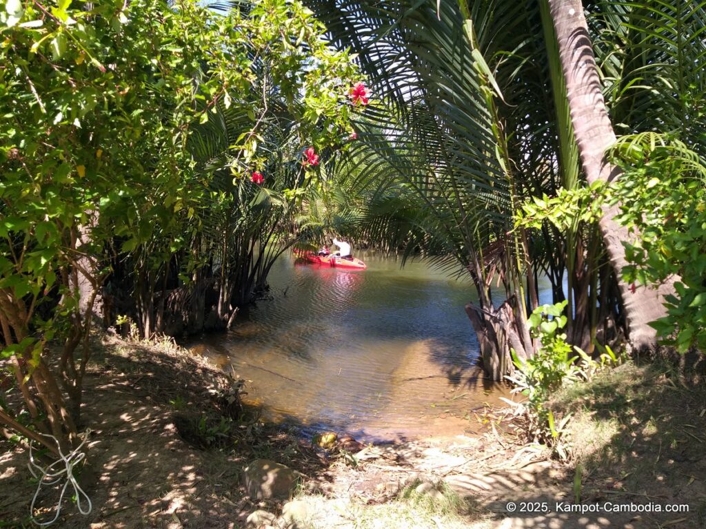 nary garden bungalow in kampot cambodia