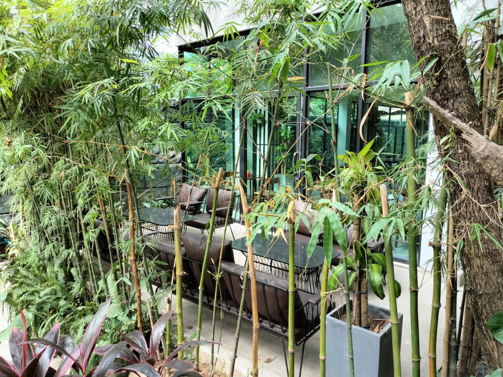 rainforest hotel in kampot cambodia