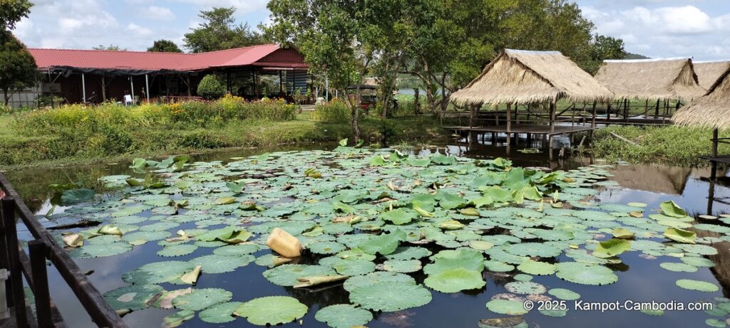 Champs dámour hotel and restaurant on secret lake. kampot, cambodia