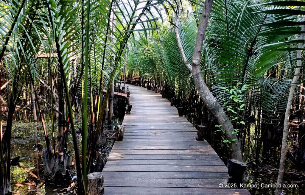 sloek chak bungalows in kampot cambodia