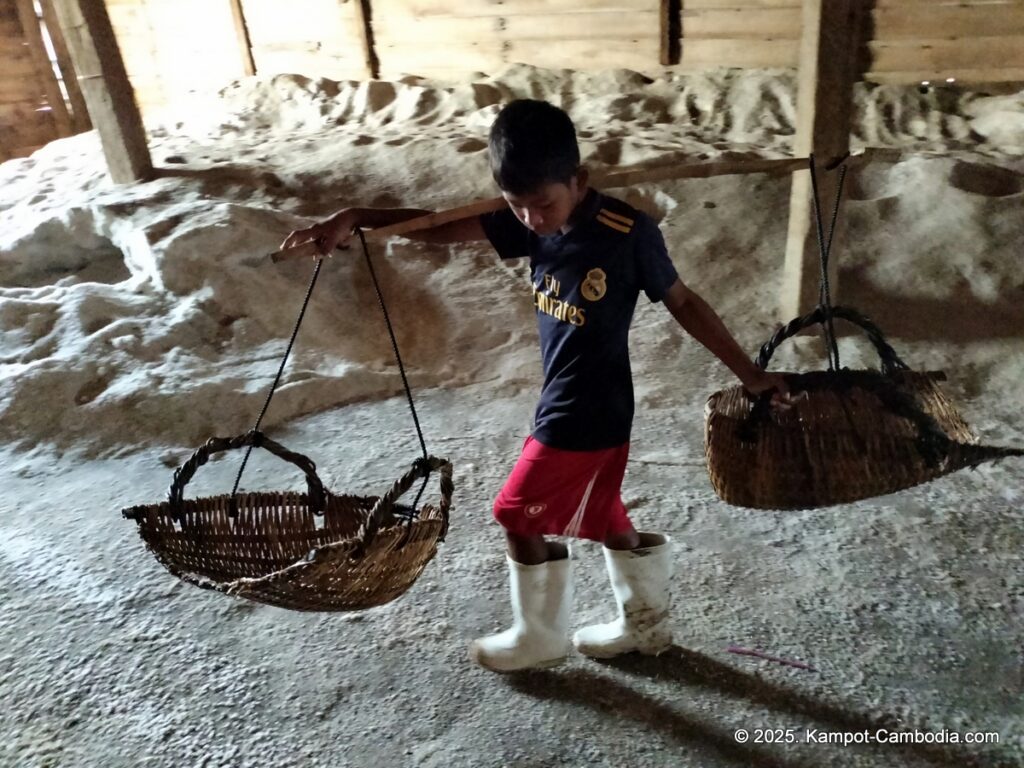 salt fields in kampot cambodia