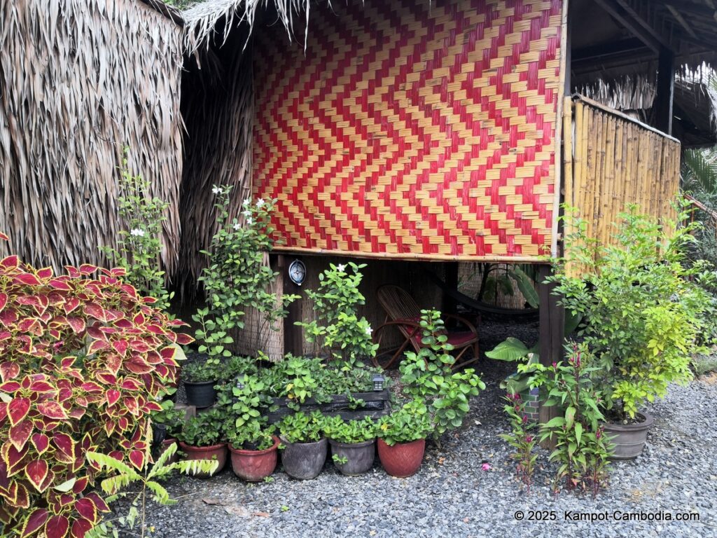 village life kampot cambodia. traditional bungalows.