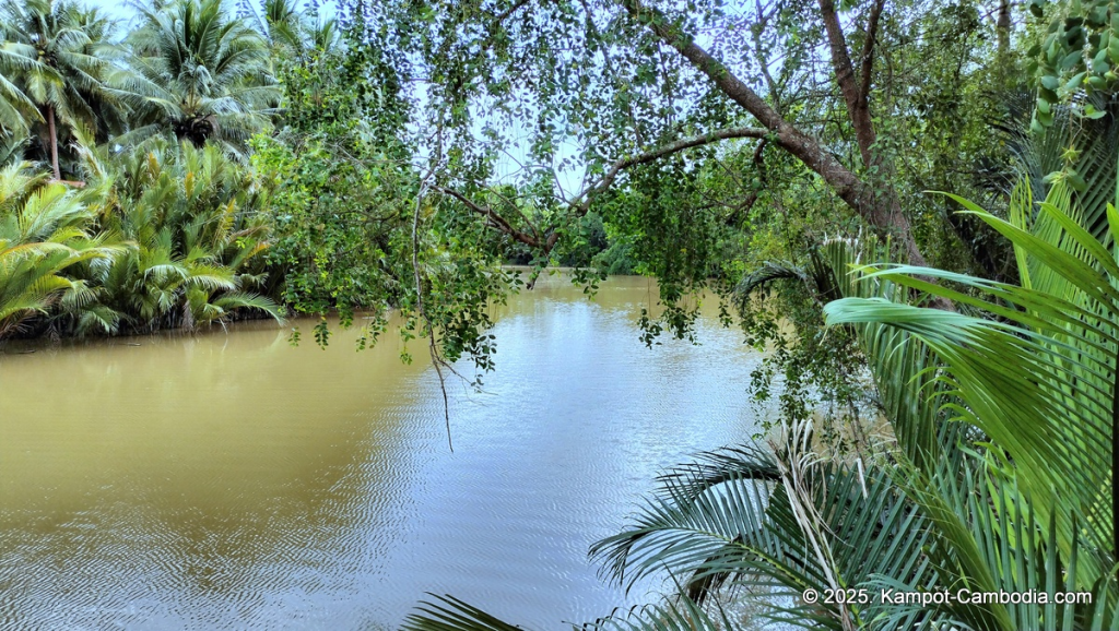 kampot tropical village in cambodia