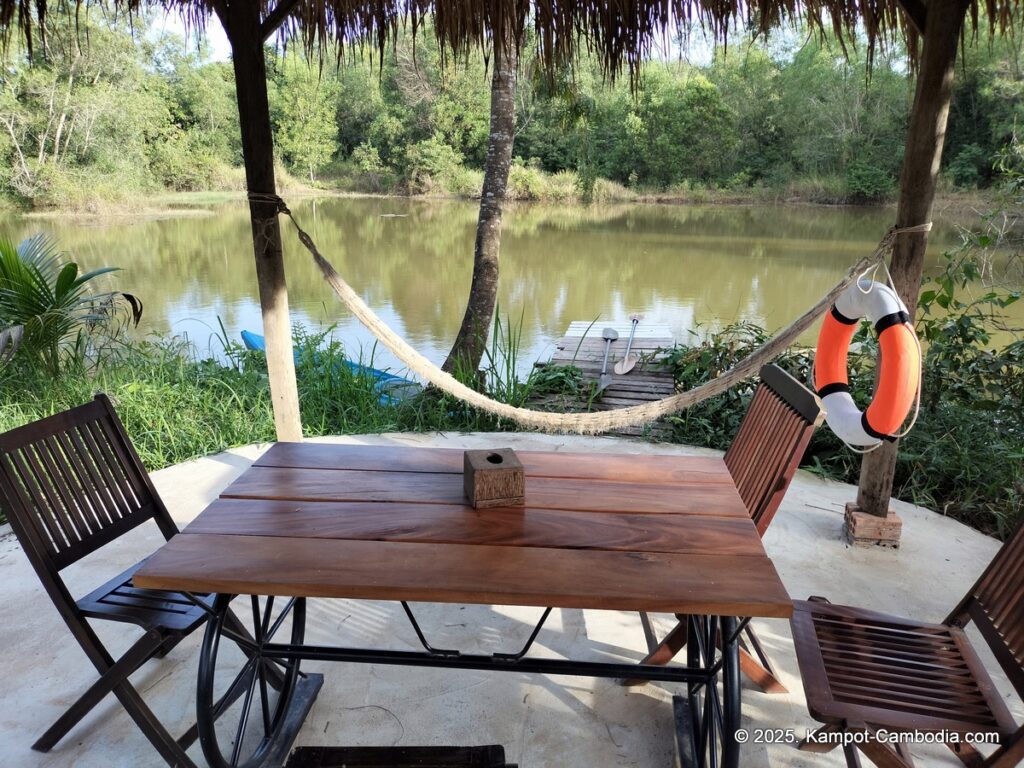 bo tree pepper farm in kampot cambodia