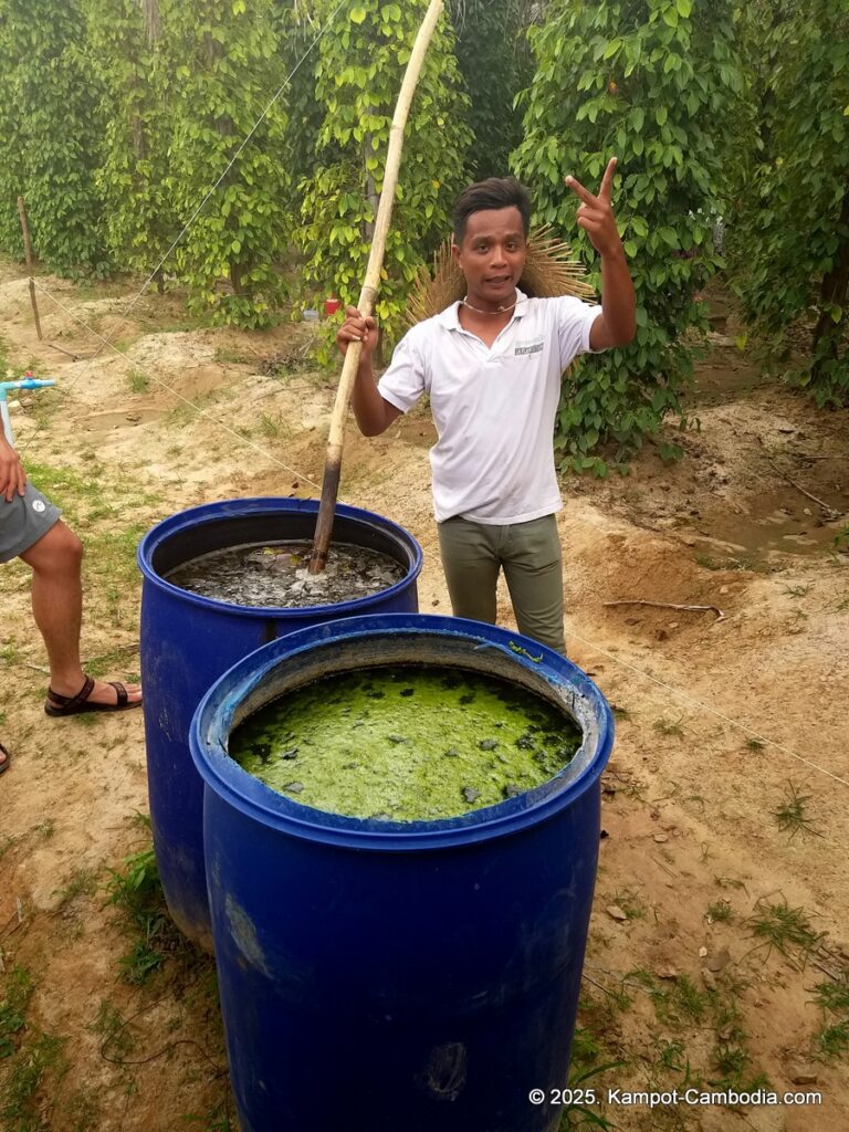 La Plantation Kampot Pepper farm in kampot cambodia