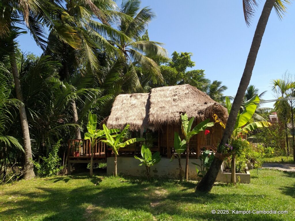 nary garden bungalow in kampot cambodia