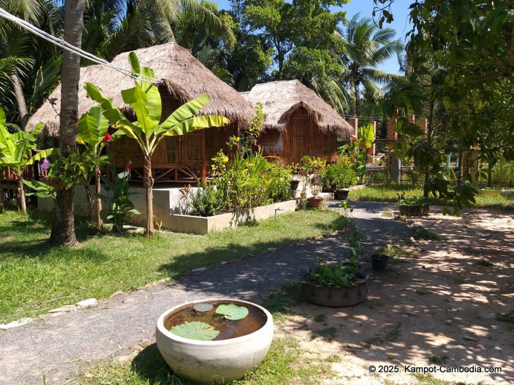 nary garden bungalow in kampot cambodia