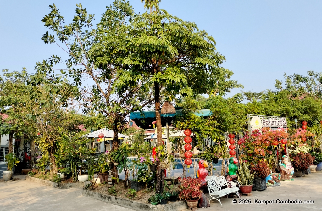 kampot orkide boutique in cambodia