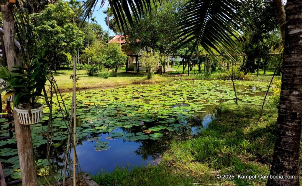 ganesha kampot resort in cambodia