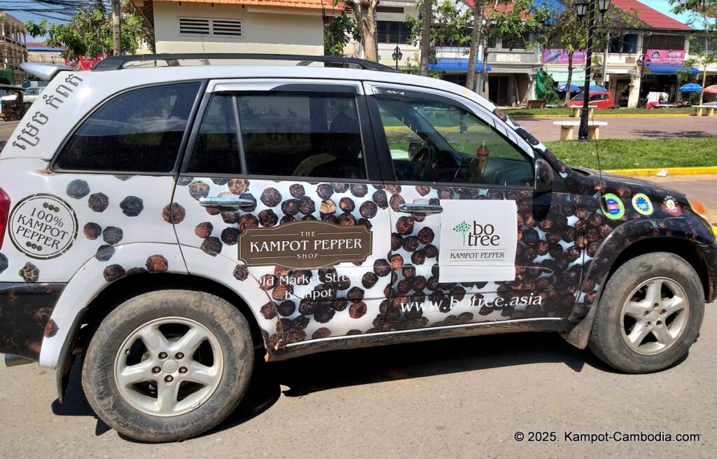 bo tree pepper farm in kampot cambodia