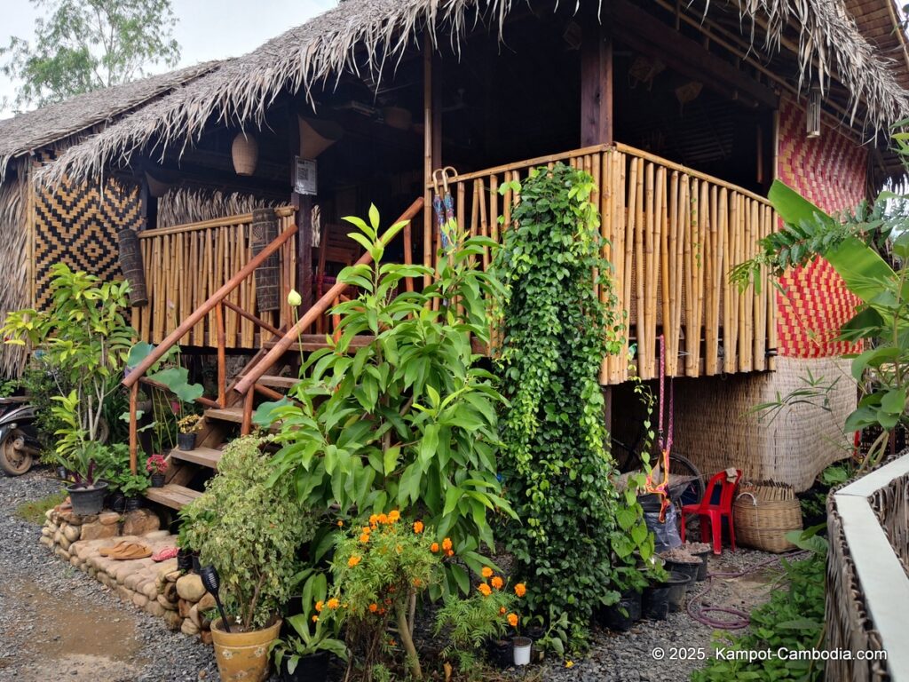 village life kampot cambodia. traditional bungalows.