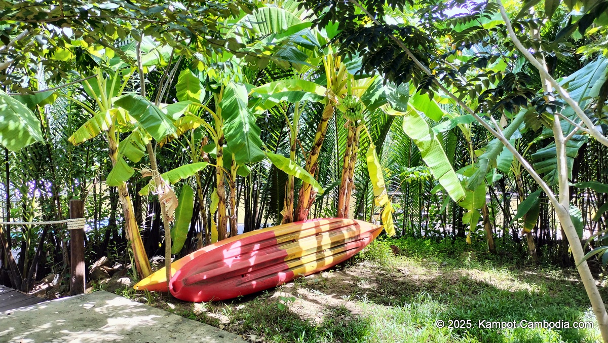 rivertree villa and resort in kampot cambodia