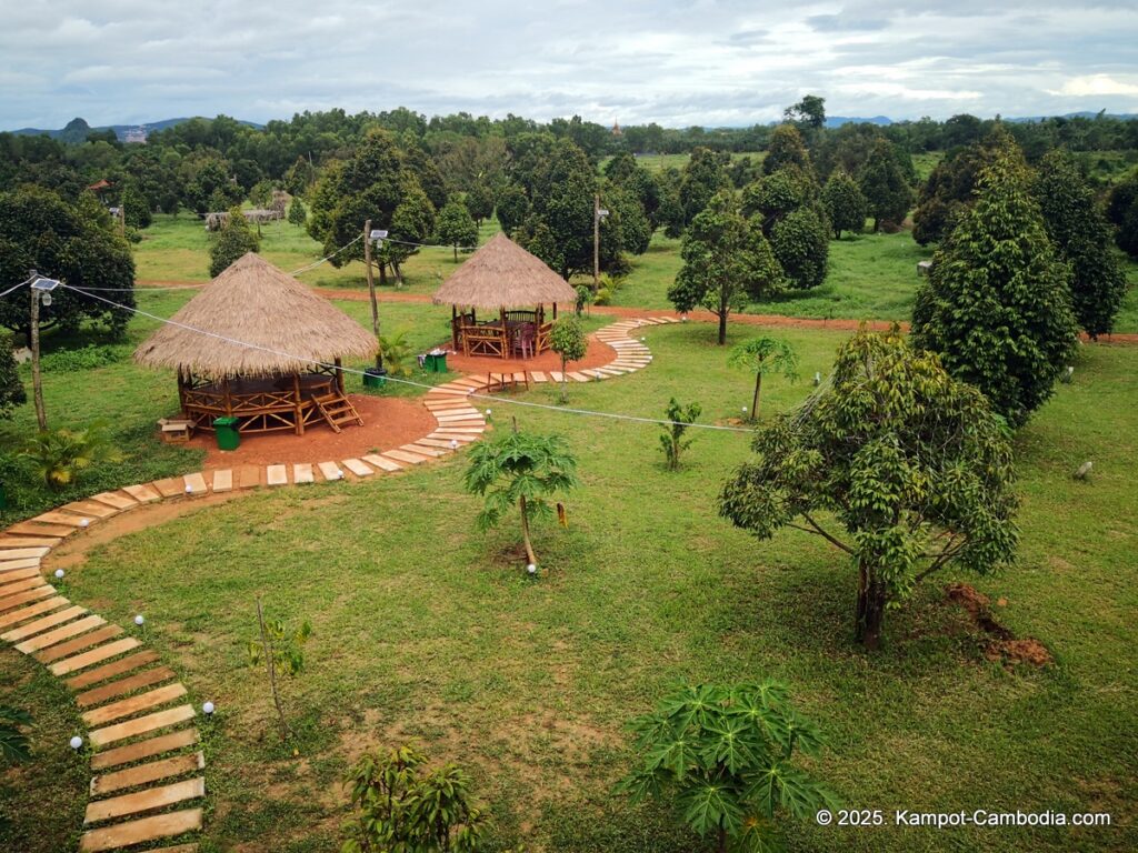 durian flower villa in kampot cambodia