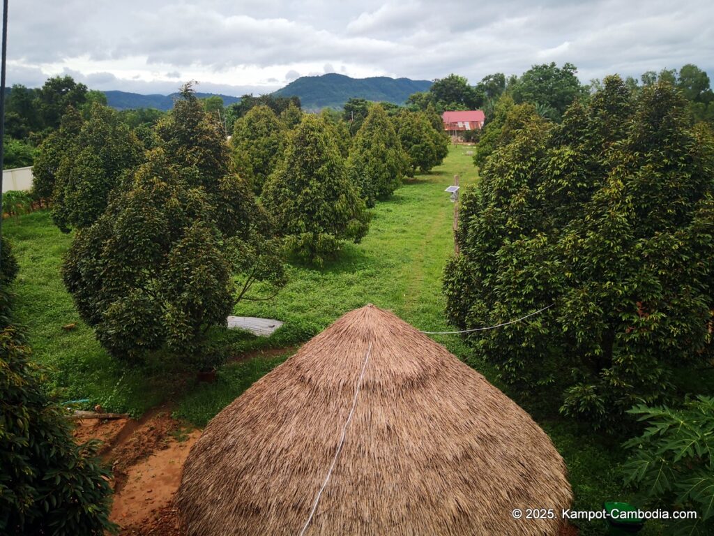 durian flower villa in kampot cambodia