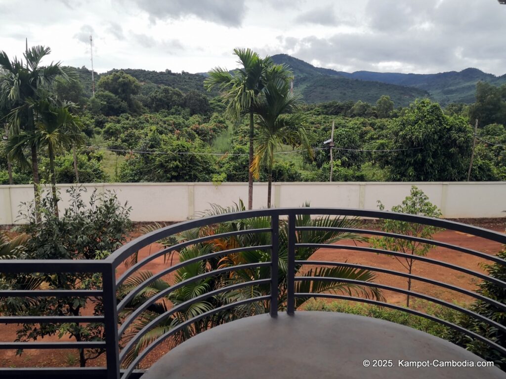 durian flower villa in kampot cambodia