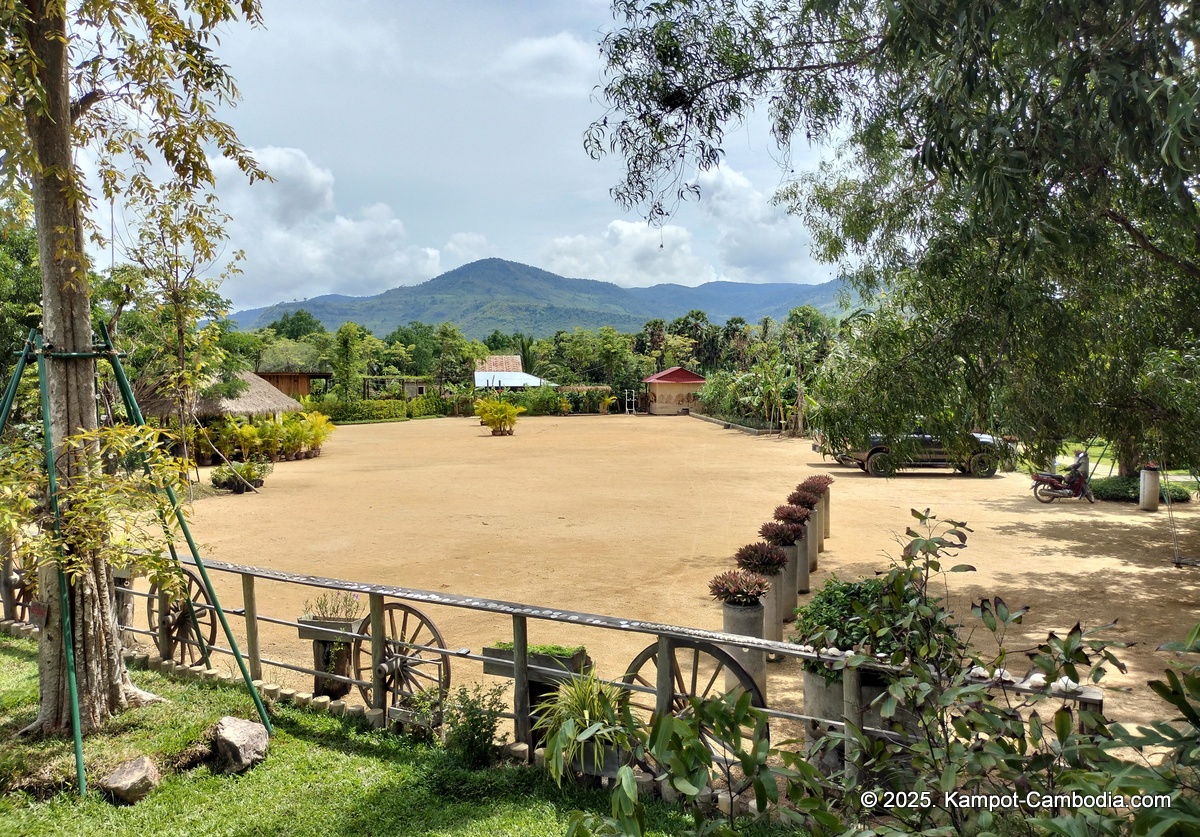 mlis kampot river in cambodia