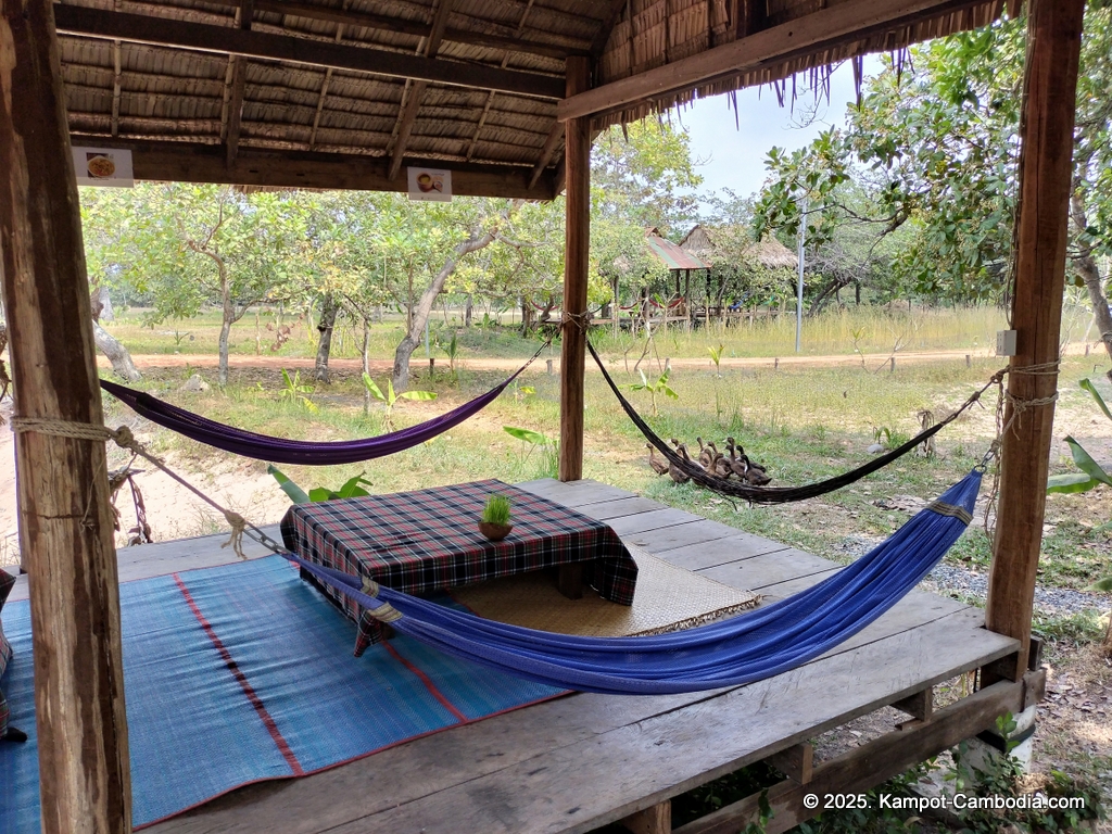 phum chas cafe restaurant in kampot cambodia