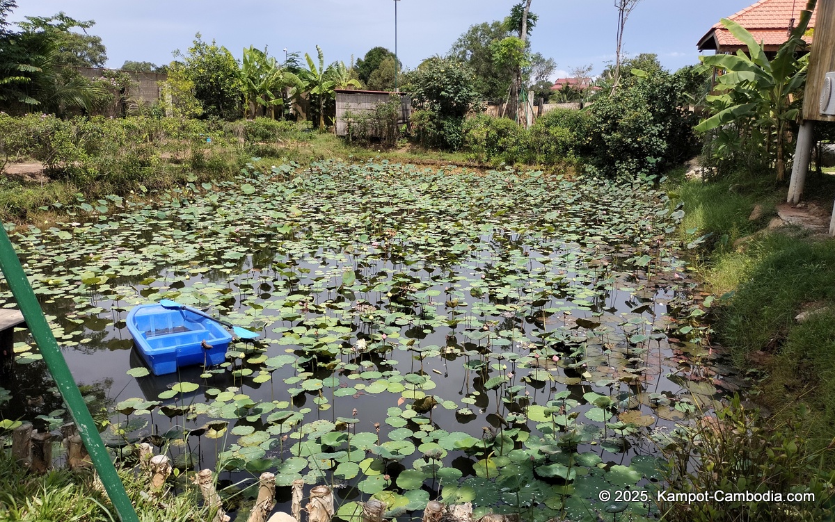 mlis kampot river in cambodia