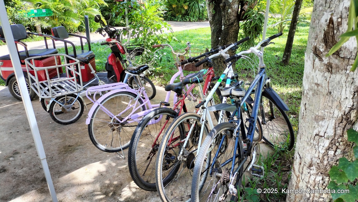 rivertree villa and resort in kampot cambodia