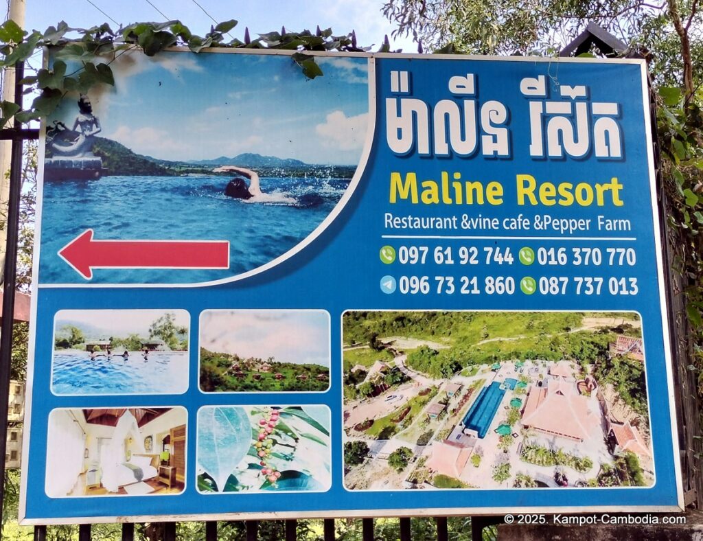 maline resort pepper farm in kampot cambodia