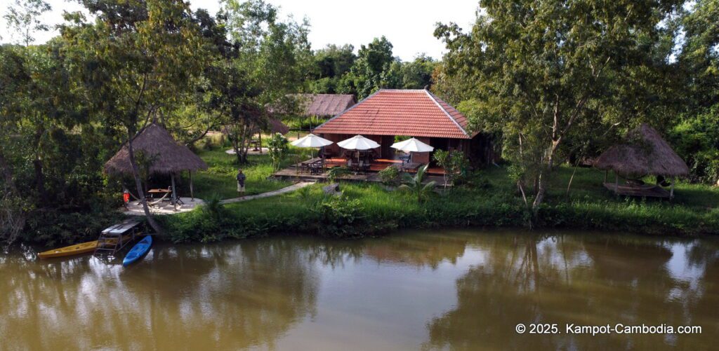 bo tree pepper farm in kampot cambodia