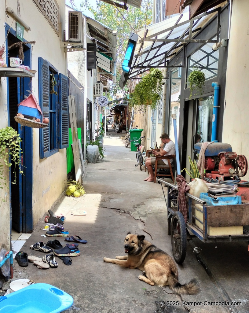 Kampot Lane in kampot cambodia
