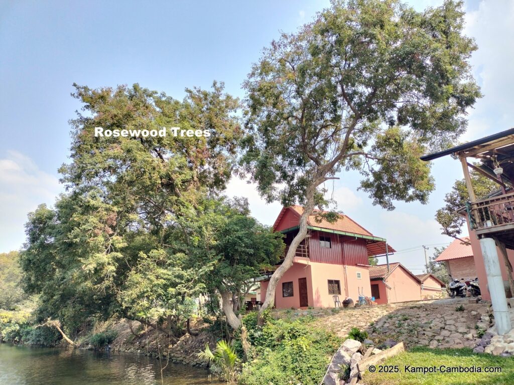 rosewood resort in kampot cambodia