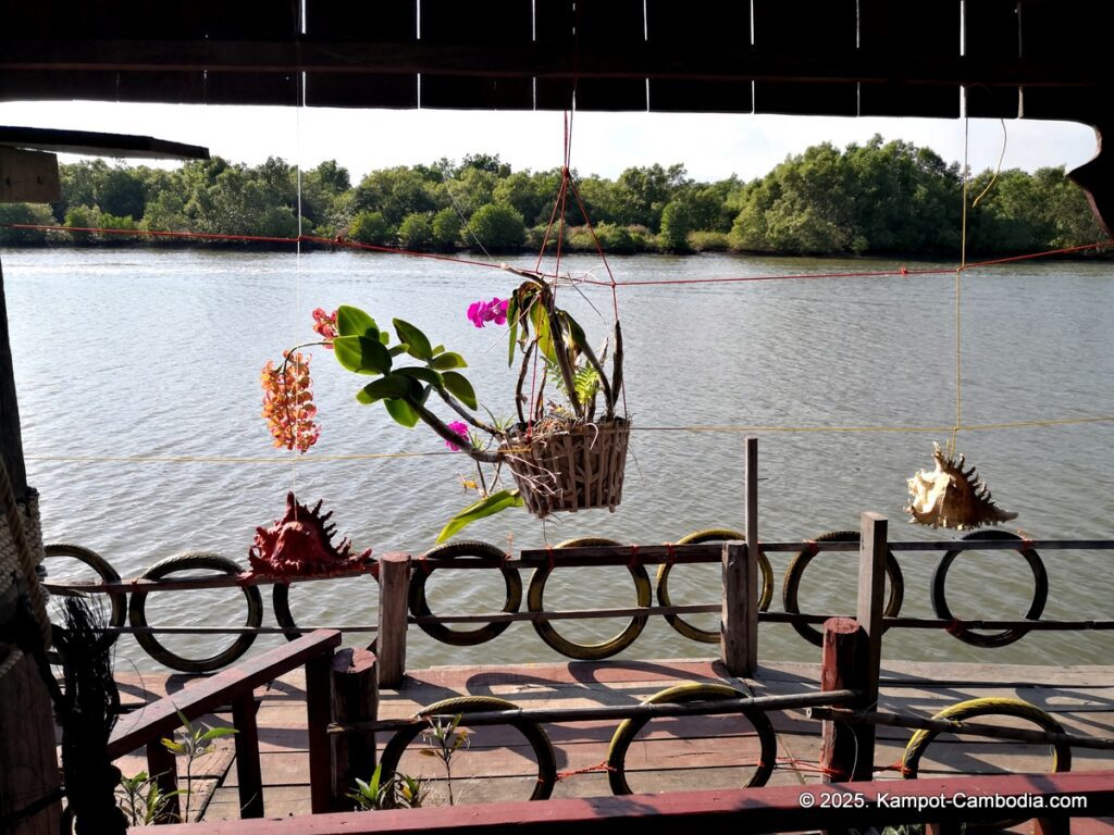 Trapeang Sangkae mangrove in kampot cambodia. boats and rooms.