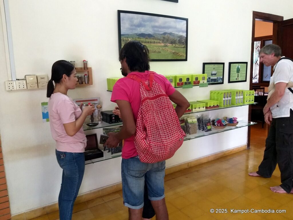 farmlink kampot pepper in cambodia.