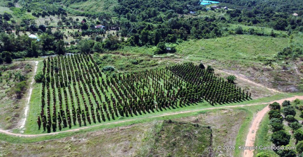 La Plantation Kampot Pepper farm in kampot cambodia