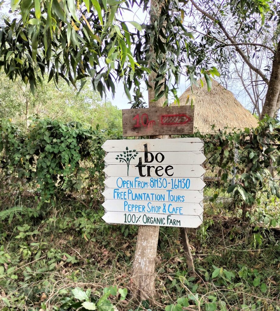 bo tree pepper farm in kampot cambodia