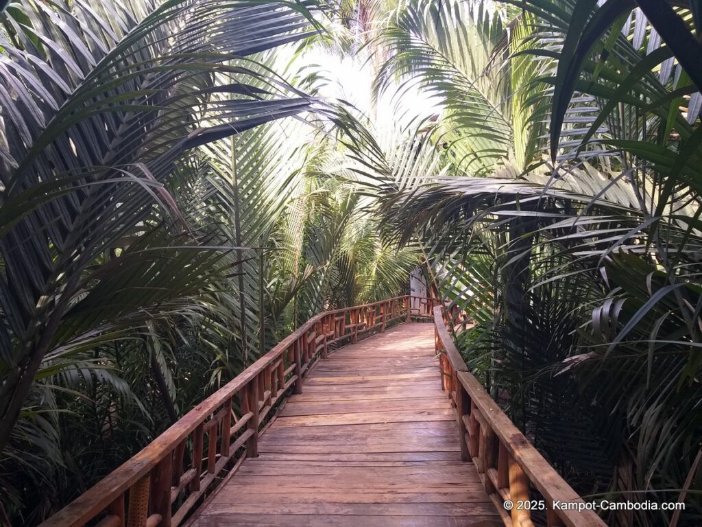 sabay beach kampot hotel in cambodia