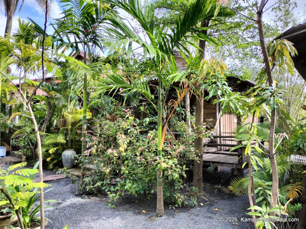 fish island bungalows in kampot cambodia