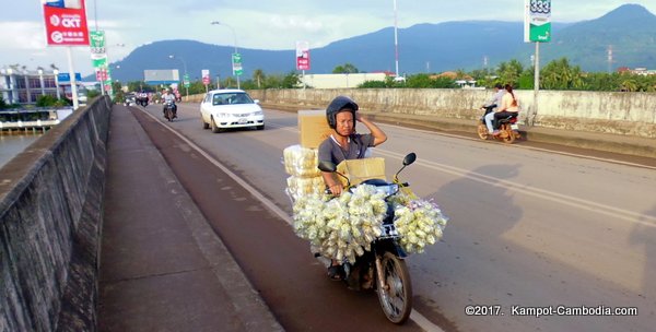 Kampot New Bridge in Cambodia