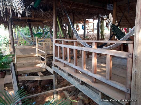 Makk Long Durian Farm Riverpark in kampot, cambodia