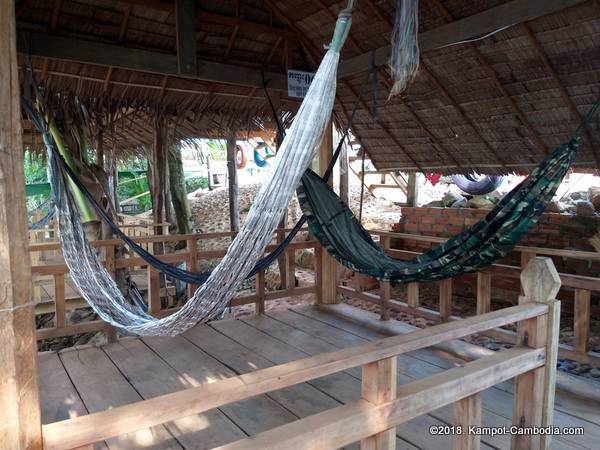 Makk Long Durian Farm Riverpark in kampot, cambodia