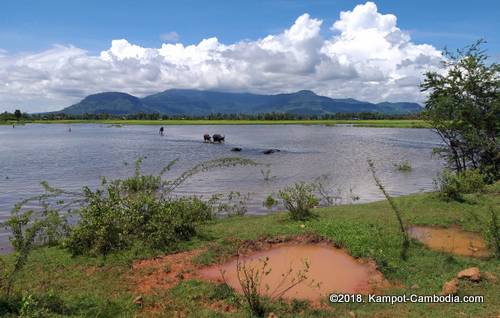 phnom doang, coconut mountain on fish island in kampot, cambodia