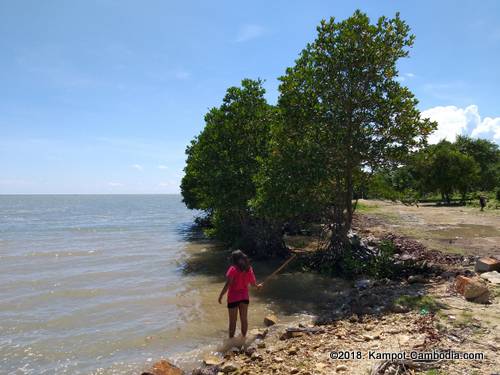 phnom doang, coconut mountain on fish island in kampot, cambodia