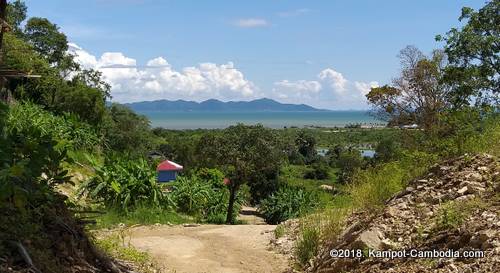 phnom doang, coconut mountain on fish island in kampot, cambodia