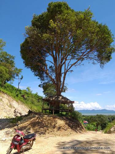 phnom doang, coconut mountain on fish island in kampot, cambodia