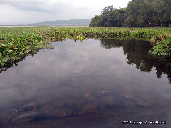 secret lake in kampot, cambodia