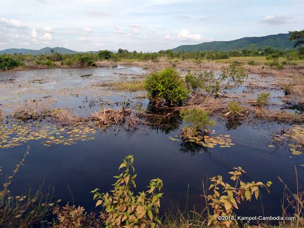 secret lake in kampot, cambodia